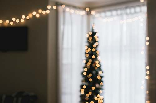 christmas wallpapers green Christmas tree with string lights turned on curtain
